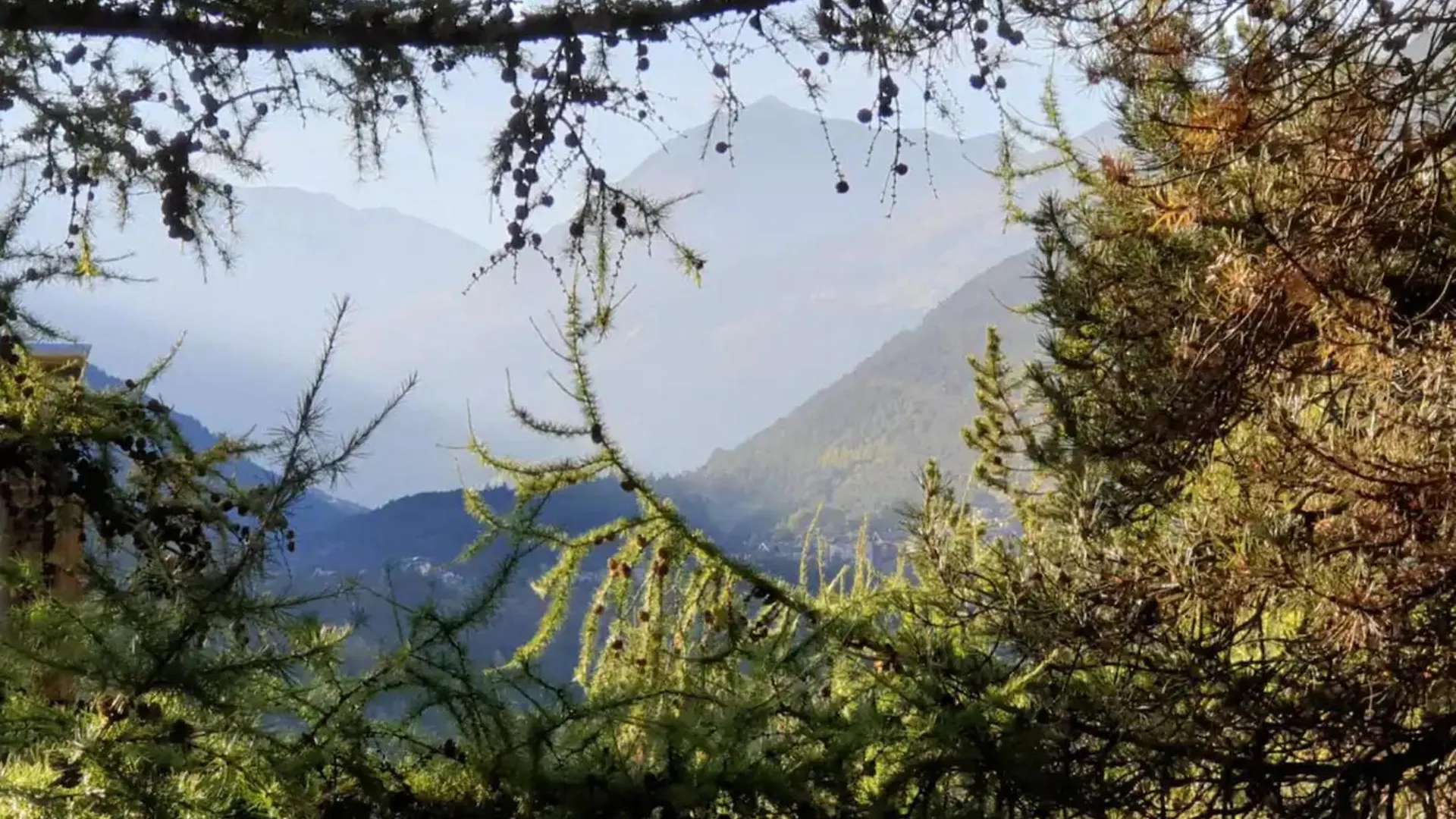 Holiday home Nido Alpino Terme E Sport - Bormio Villa VALDIDENTRO